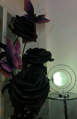 Room 3